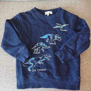 Kids  dinosaur sweatshirt